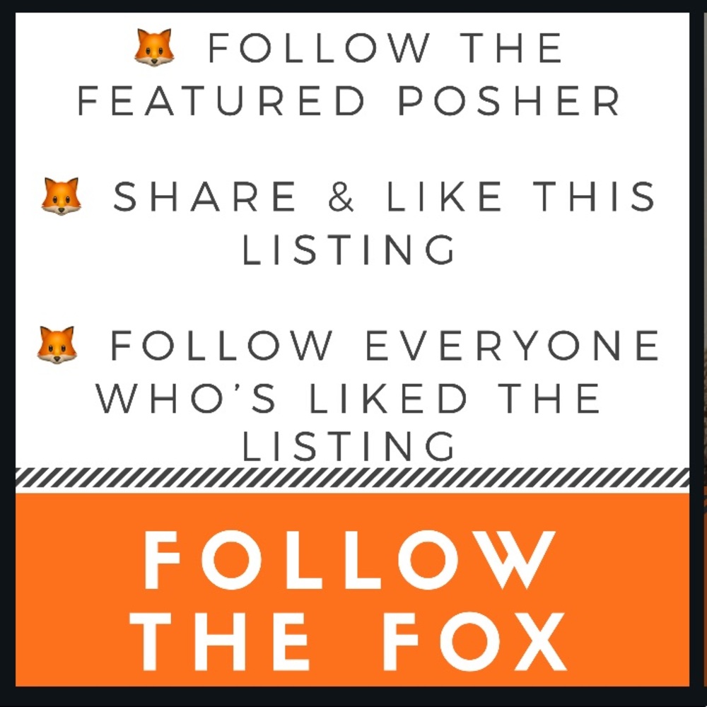 Follow the Fox ๐ฆ - Picture 2 of 3